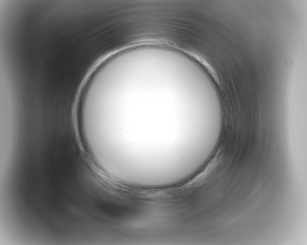 X0000099381030200805081155