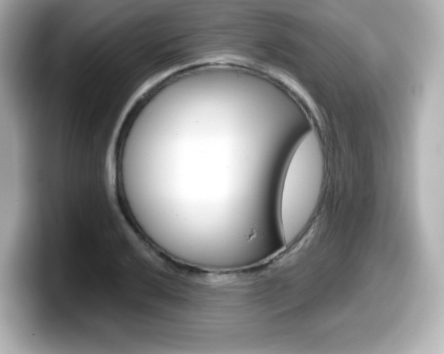 X0000099381032200805081155