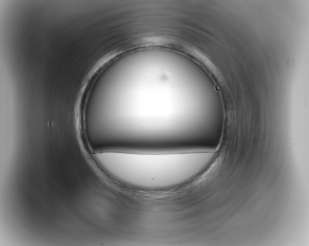 X0000099381034200805081155