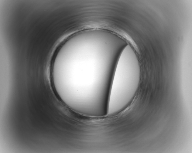 X0000099381035200805081155