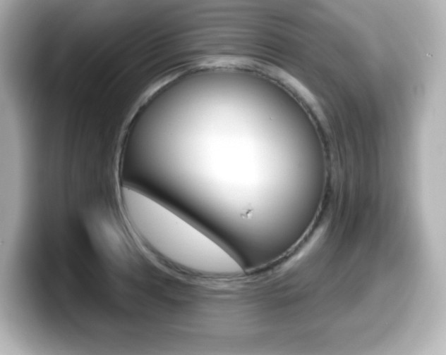 X0000099381041200805081155
