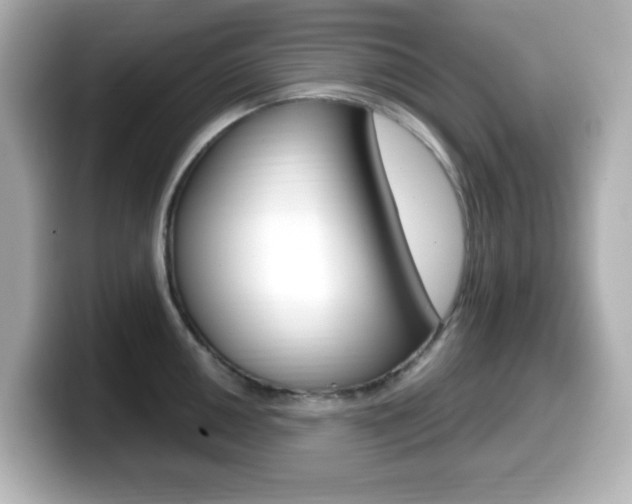 X0000099381050200805081155