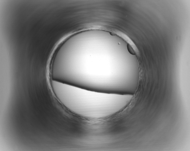 X0000099381051200805081155