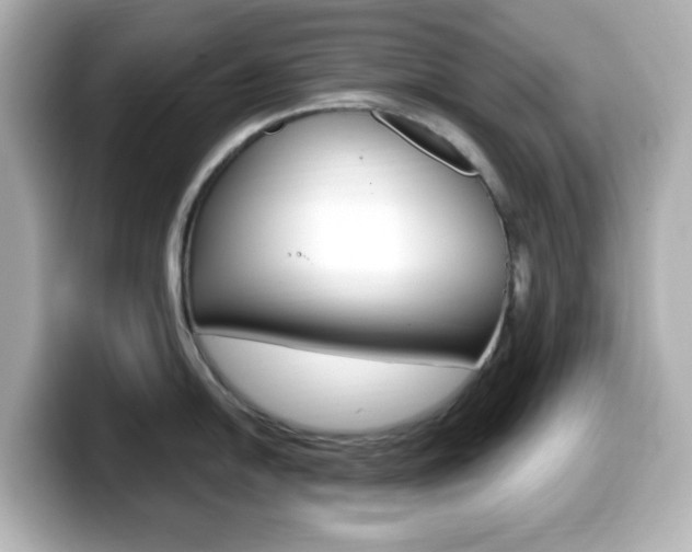 X0000099381054200805081155