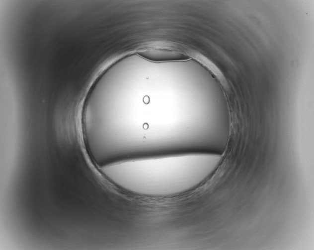 X0000099381055200805081155