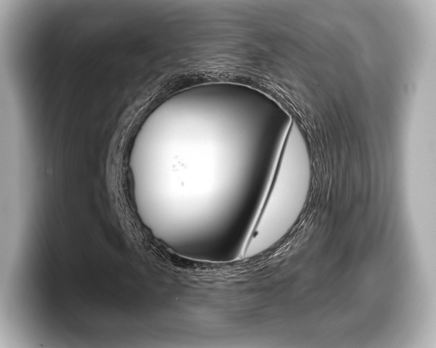 X0000099381057200805081154