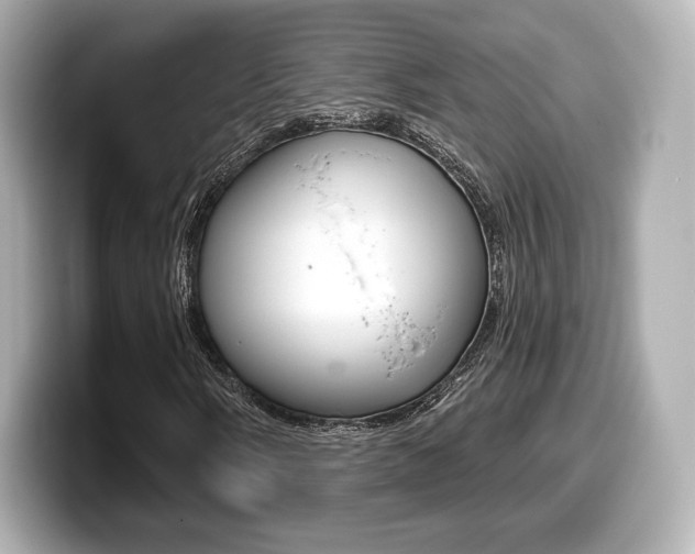 X0000099381058200805081154