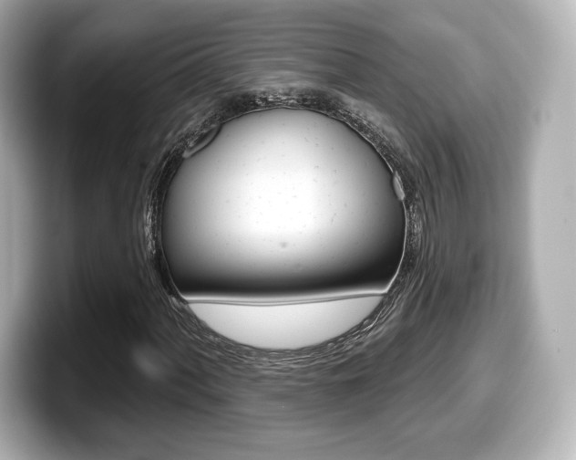 X0000099381060200805081154