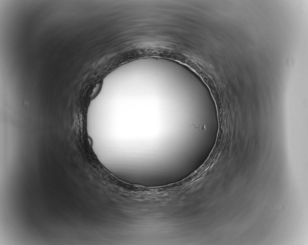 X0000099381061200805081154