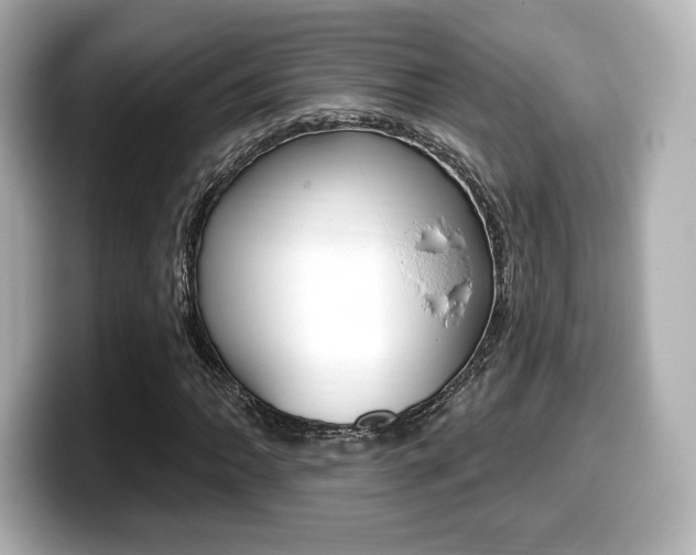 X0000099381062200805081154
