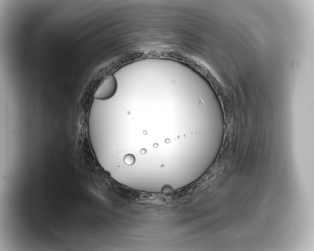 X0000099381063200805081154