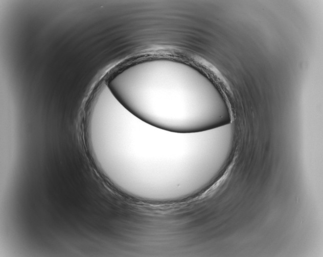 X0000099381066200805081154