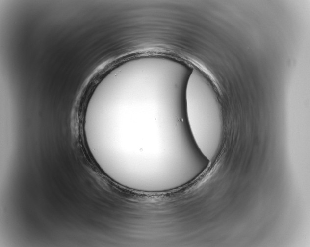 X0000099381067200805081154