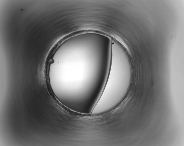 X0000099381068200805081154