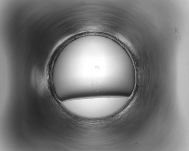 X0000099381070200805081154