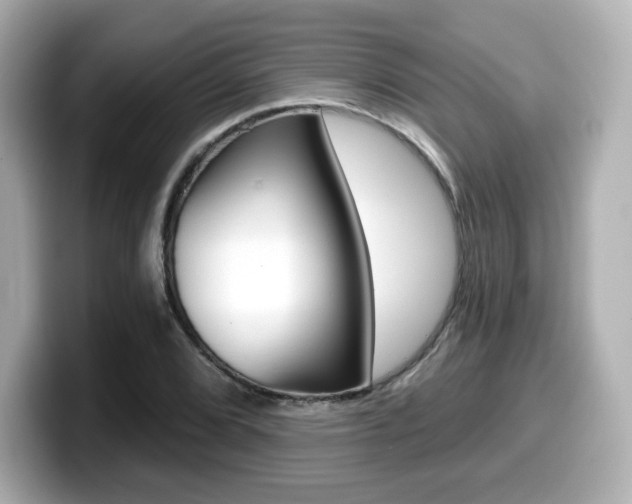 X0000099381072200805081154