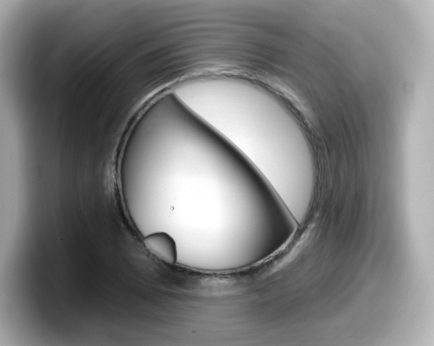 X0000099381073200805081154