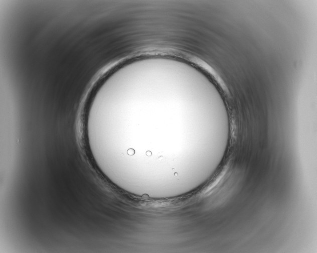 X0000099381074200805081154