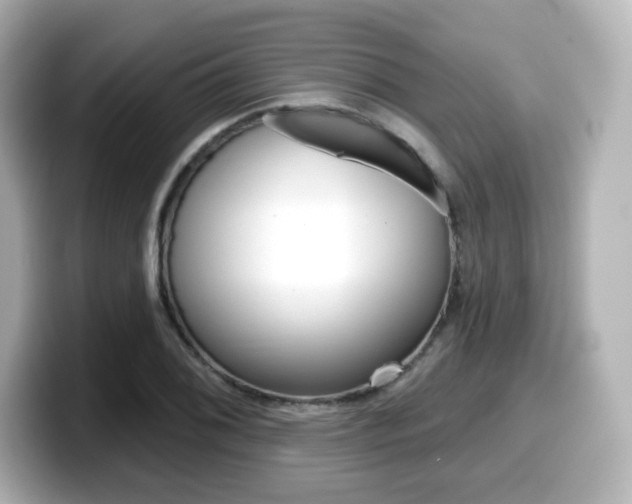 X0000099381076200805081154