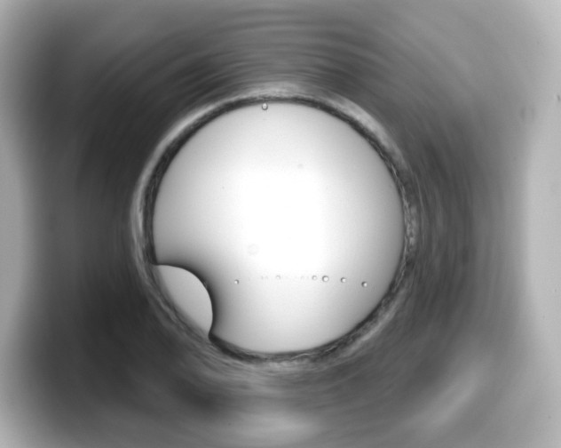 X0000099381078200805081154