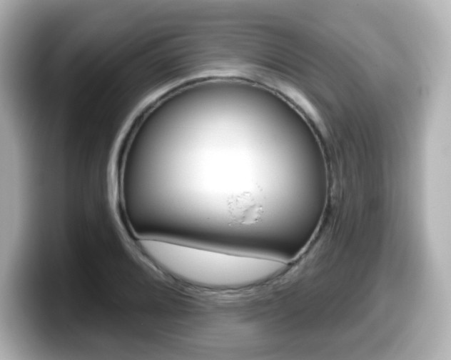 X0000099381080200805081154