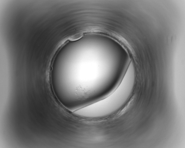 X0000099381081200805081154