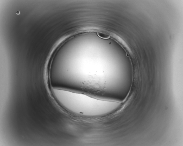 X0000099381082200805081154