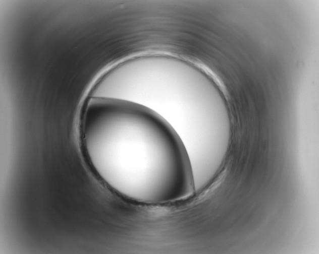 X0000099381085200805081154