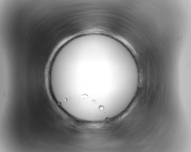 X0000099381086200805081154