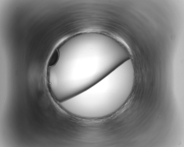 X0000099381087200805081154
