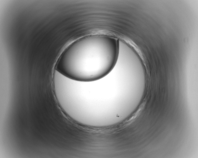 X0000099381089200805081154