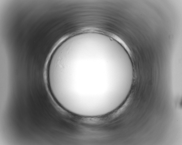 X0000099381090200805081154
