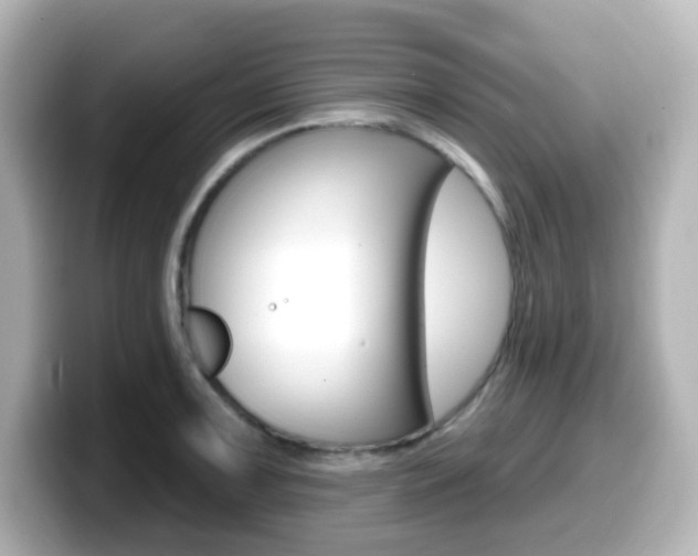 X0000099381091200805081154