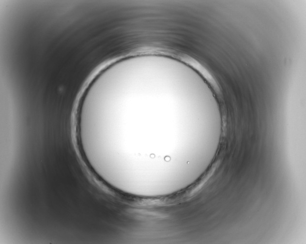 X0000099381094200805081154