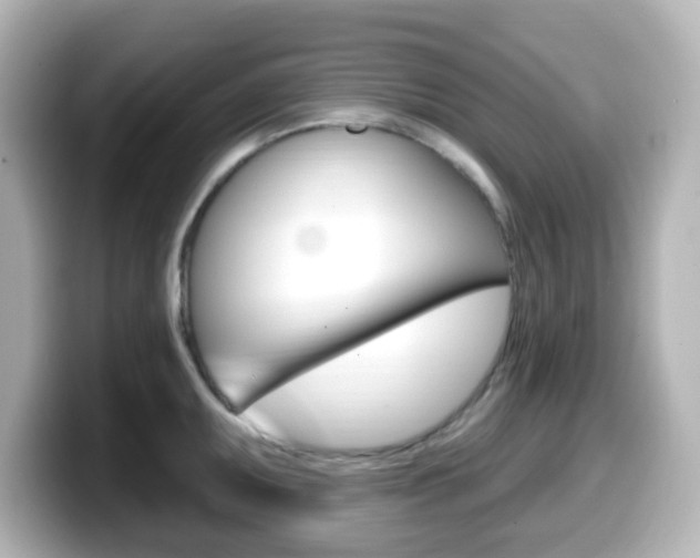 X0000099381095200805081154