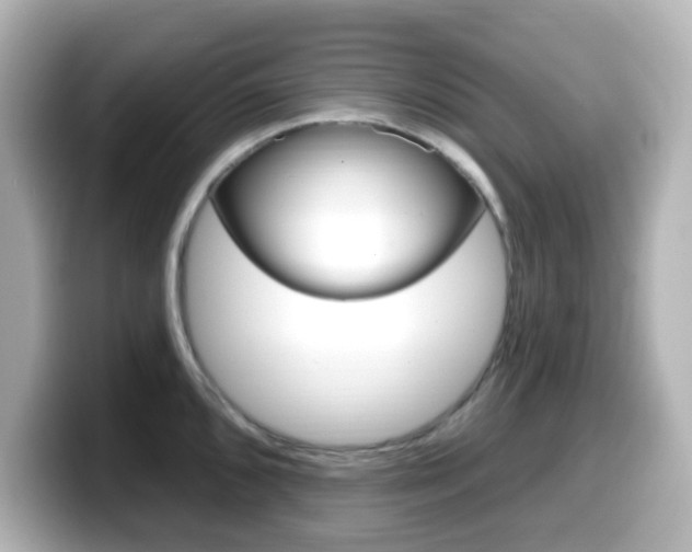 X0000099381096200805081154