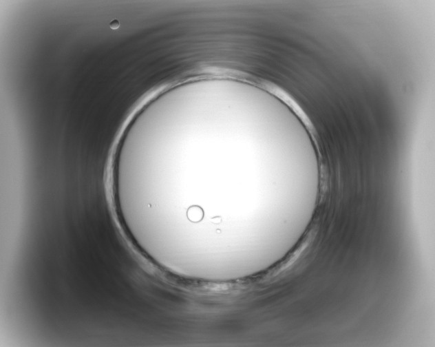 X0000099381098200805081154