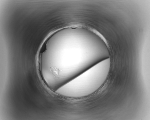 X0000099381099200805081154