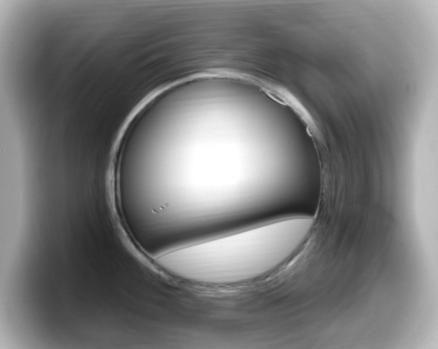 X0000099381100200805081154