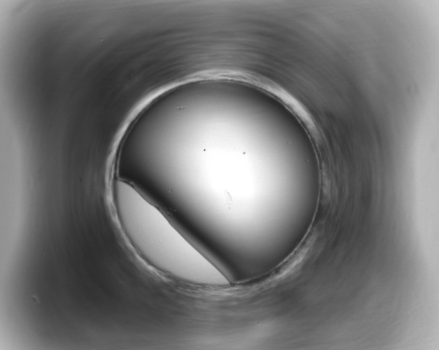 X0000099381102200805081154