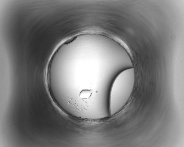 X0000099381103200805081154
