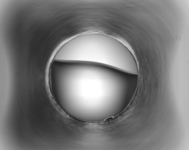 X0000099381104200805081154