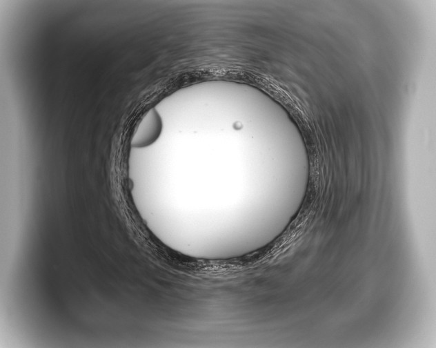 X0000099381105200805081153
