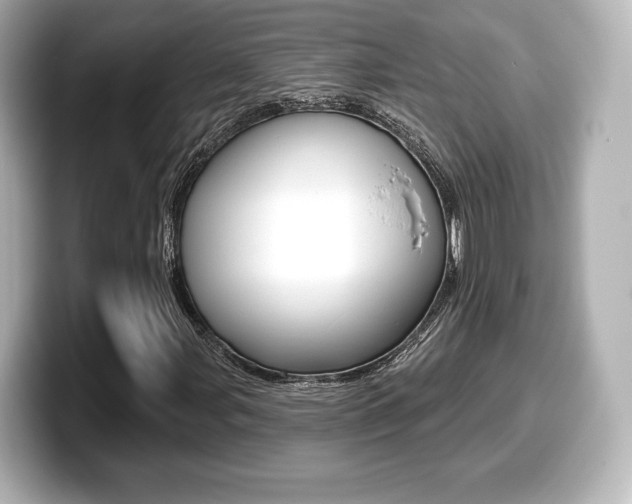 X0000099381107200805081153