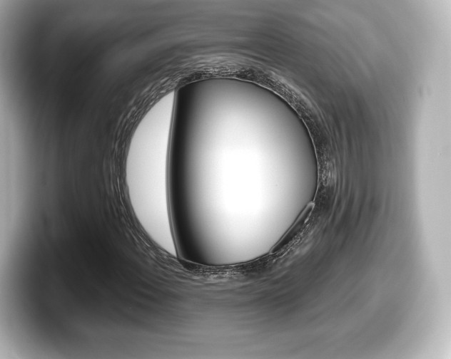 X0000099381108200805081153