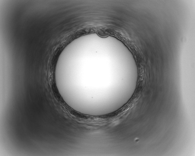 X0000099381109200805081153