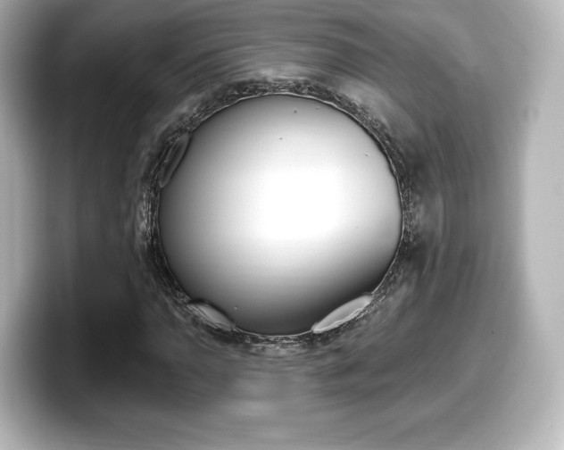 X0000099381110200805081153