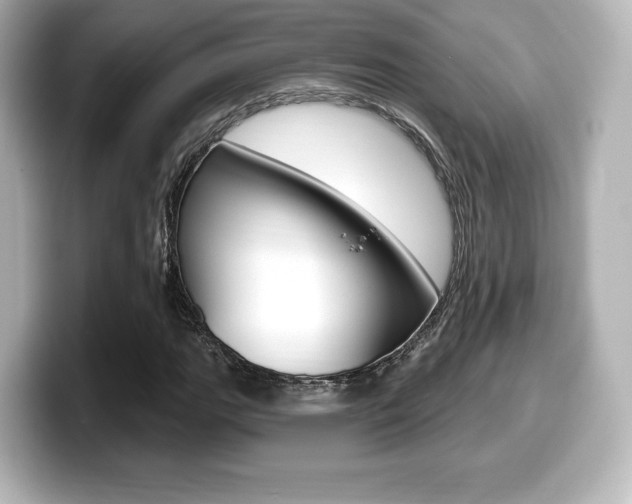 X0000099381111200805081153