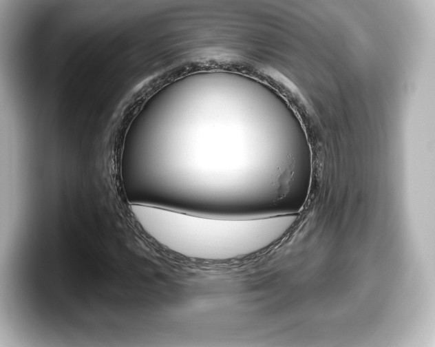 X0000099381112200805081153