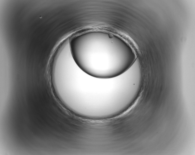 X0000099381114200805081153